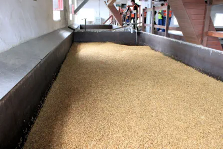 Bottich zum Einweichen der Gerste