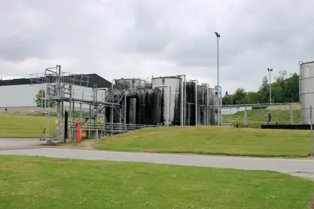 Balvenie - Fassabfüllung