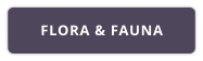 FLORA & FAUNA